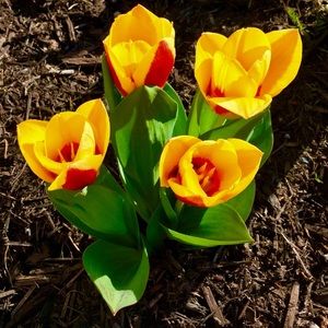 Meet your Posher, Sandi